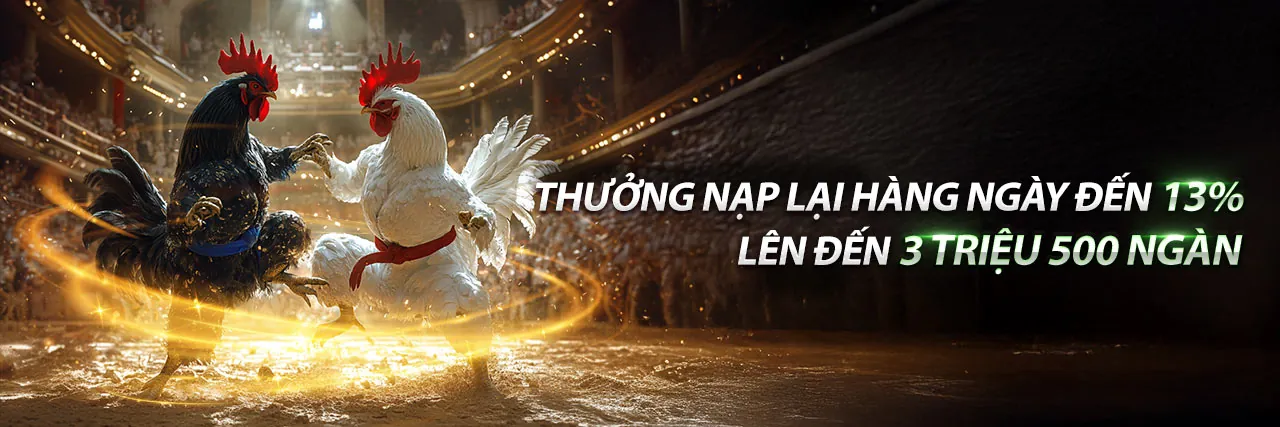 Khuyến mãi chào mừng hấp dẫn tại nohu 28 nhà cái